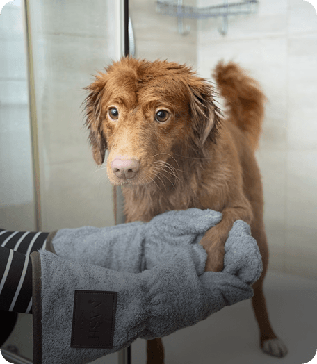 Dnevni Boravak za Kućne Ljubimce
